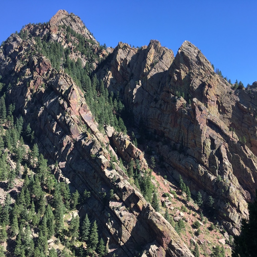 Meet your Posher, Adrienne